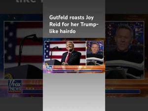 Read more about the article Greg Gutfeld: It is always time for Dems to freak out