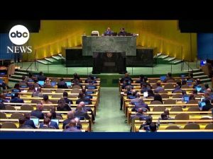 Read more about the article UN workers accused of helping Hamas