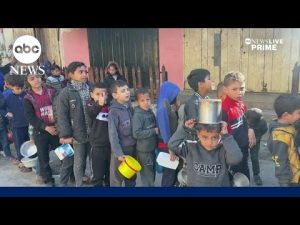 Read more about the article Palestinians struggle to find food, with warnings of a ‘full-fledged famine’