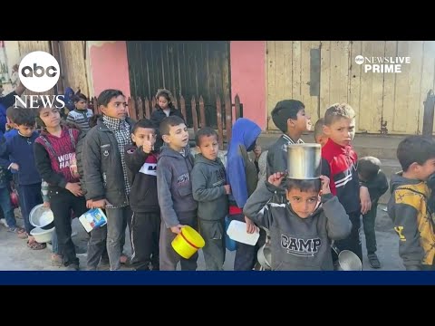 You are currently viewing Palestinians struggle to find food, with warnings of a ‘full-fledged famine’
