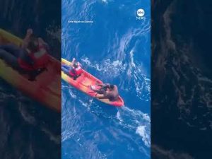 Read more about the article Kayakers rescued by cruise ship in Gulf of Mexico