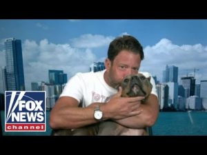 Read more about the article Dave Portnoy’s rescue dog Miss Peaches goes viral: ‘The sweetest angel’