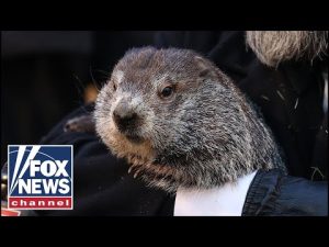 Read more about the article Punxsutawney Phil predicts early spring on Groundhog Day 2024
