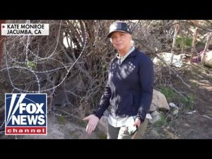 Read more about the article Republican repairs border wall with razor wire in California