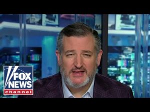 Read more about the article The ‘Biden body bags’ are building up every day: Sen. Ted Cruz