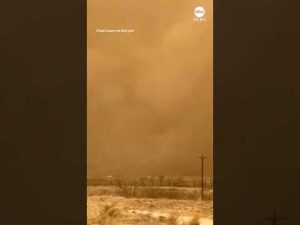 Read more about the article Evacuations ordered as massive wildfires spread in Texas