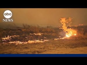 Read more about the article Wildfire emergency in Texas panhandle fueled by wind