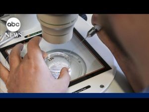Read more about the article IVF access in Alabama: Doctors and families rally at Alabama state Capitol ahead of vote