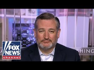 Read more about the article Ted Cruz: This disastrous bill codifies Biden’s open border