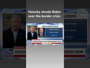 Read more about the article Sean Hannity: This is the single greatest national security threat in our lifetime #shorts