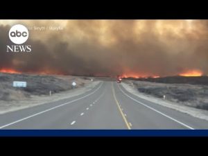 Read more about the article Texas wildfire now the largest in state history