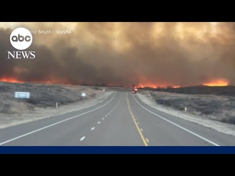 You are currently viewing Texas wildfire now the largest in state history