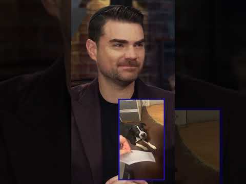 You are currently viewing Dog Doesn’t Like Kim Jong Un