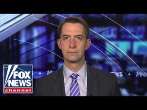 Read more about the article Tom Cotton: Dems may be using anti-Israel protests to create diplomatic ‘daylight’