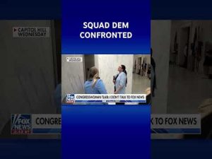 Read more about the article WATCH: Rashida Tlaib refuses to condemn ‘death to America’ chants #shorts