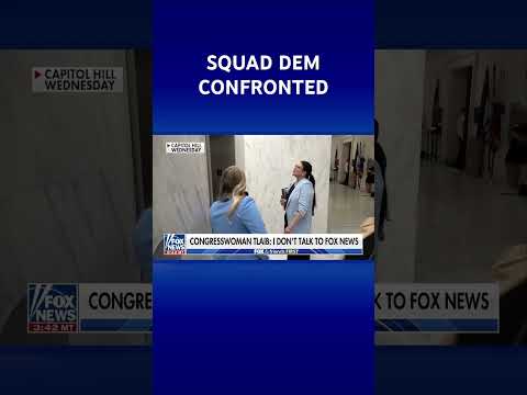 You are currently viewing WATCH: Rashida Tlaib refuses to condemn ‘death to America’ chants #shorts