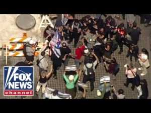 Read more about the article Anti-Israel protests cause chaos in cities nationwide