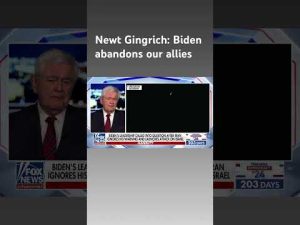 Read more about the article Newt Gingrich: This is a moment of total insanity #shorts