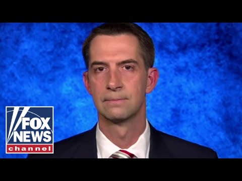 You are currently viewing Tom Cotton: The police should arrest these pro-Hamas lunatics
