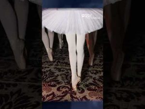 Read more about the article Hundreds of ballerinas gather at New York’s Plaza Hotel to break world record