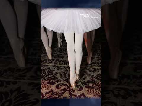 You are currently viewing Hundreds of ballerinas gather at New York’s Plaza Hotel to break world record