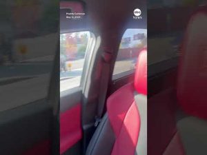 Read more about the article Bizarre video shows man clinging to hood of moving car on busy Hollywood street