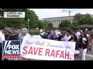 Read more about the article Dem staffers told to wear masks, remove IDs before anti-Israel protest