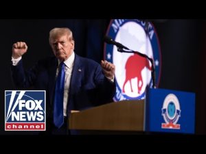 Read more about the article Trump declares Minnesota is ‘in play’ in 2024