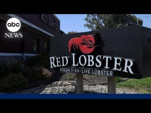 Read more about the article Red Lobster files for bankruptcy