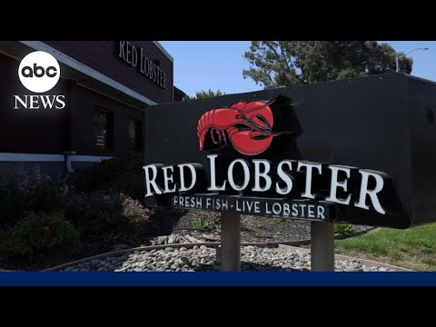 You are currently viewing Red Lobster files for bankruptcy
