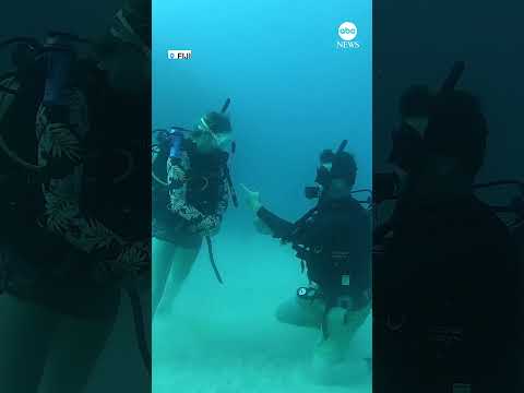 You are currently viewing Man proposes to girlfriend while scuba diving off Fiji coast