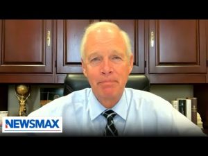Read more about the article ‘The radical left is destroying this country’: Sen. Ron Johnson