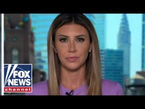 Read more about the article Trump lawyer: Democrats are helping our cause with these witch hunts