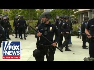 Read more about the article This is ‘lawlessness’: Florida sheriff