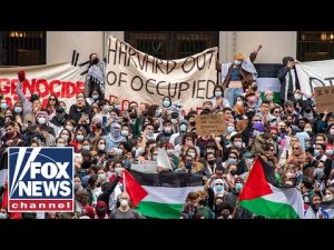 Read more about the article Harvard is ‘capitulating’ to ‘lunatics’: Bethany Mandel