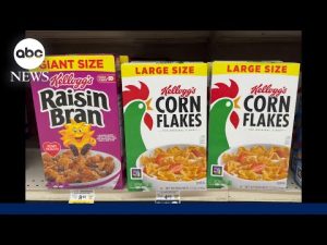 Read more about the article Ferrero to buy Froot Loops maker WK Kellogg in $3.1 billion deal