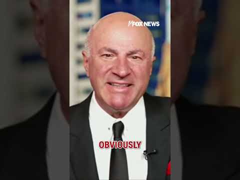 You are currently viewing Kevin O’Leary: Mamdani’s policies are ‘not going to work’ if elected #foxnews #news #shorts