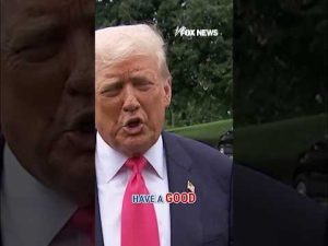 Read more about the article Trump: Cuomo should stay in NYC race #shorts #trump #foxnews #news #us #fox #nyc #cuomo #usnews