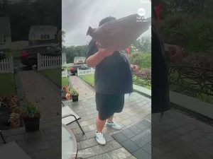 Read more about the article New Jersey delivery driver almost struck by lightning
