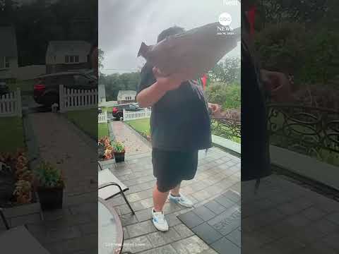You are currently viewing New Jersey delivery driver almost struck by lightning