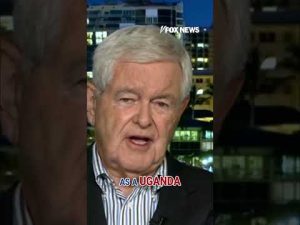 Read more about the article Newt Gingrich: Dems become trapped by two things #foxnews #shorts #trump #politics