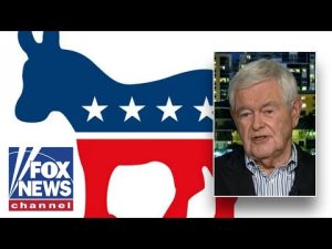 Read more about the article ‘NO ROOM LEFT’ for moderates in Democratic party, Newt Gingrich advises this