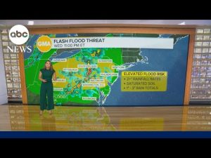 Read more about the article Tropical rainstorm along Gulf Coast, as wildfires burn in West