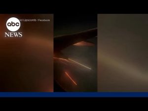 Read more about the article Video shows flames coming from plane engine, leading to emergency landing at LAX