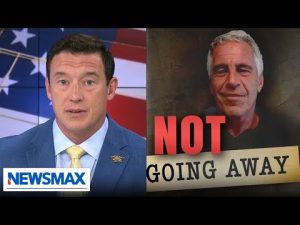 Read more about the article Carl Higbie: The American people deserve ‘real answers’ about the Epstein files