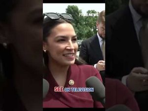 Read more about the article Watters: AOC wants Dems to love her new ‘work husband’ #zohranmamdani #shorts #politics #newyork