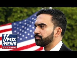 Read more about the article Dana Loesch believes Dems are ‘using’ Mamdani