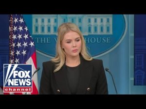Read more about the article WATCH LIVE: Karoline Leavitt holds White House briefing