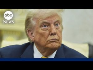Read more about the article Trump calls his supporters ‘stupid’ and ‘foolish’ for demanding Epstein files