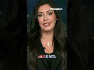 Read more about the article Dems needs to ‘WAKE UP’: Rep. Anna Paulina Luna #shorts #trump #democrats #usa #us #politics #news